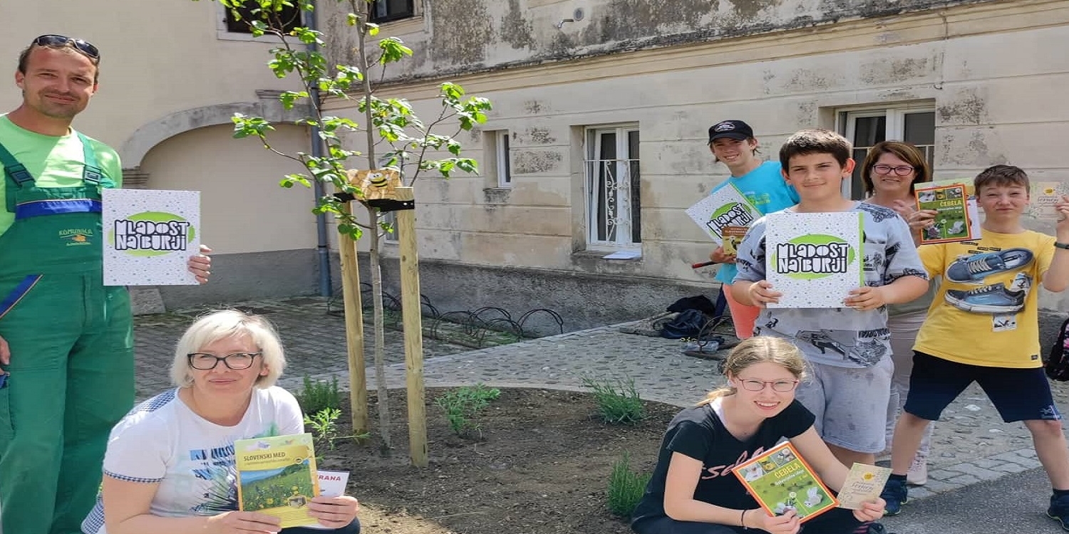 7_GREDICA BO PRIVABLJALA ČEBELE_naslovna